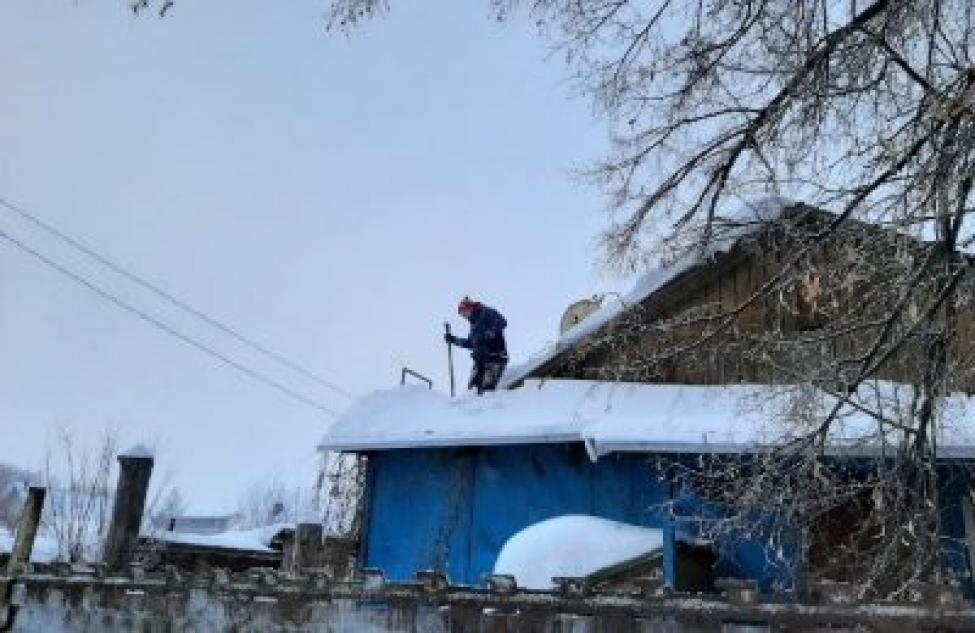 Волонтёры Бердска «победили» снег