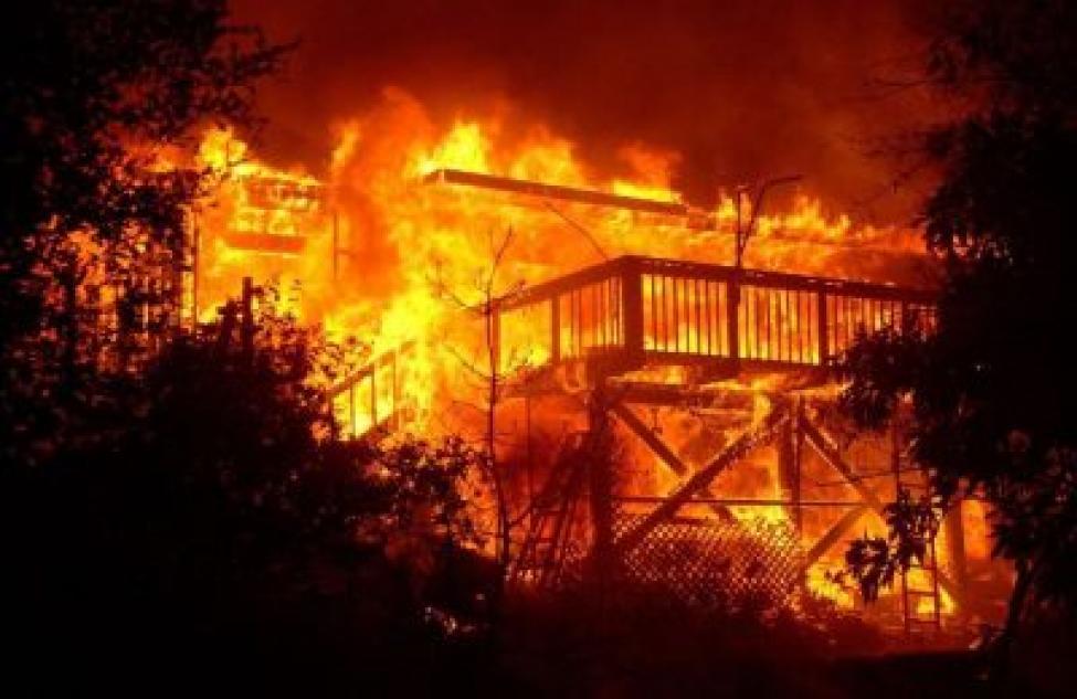 Бердчанину, виновному в  ландшафтном пожаре, грозит серьезное наказание