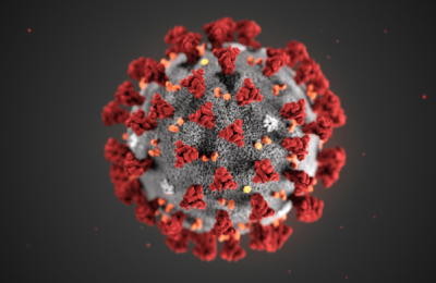 Сводка на 20 мая: сколько в Бердске заболевших коронавирусом