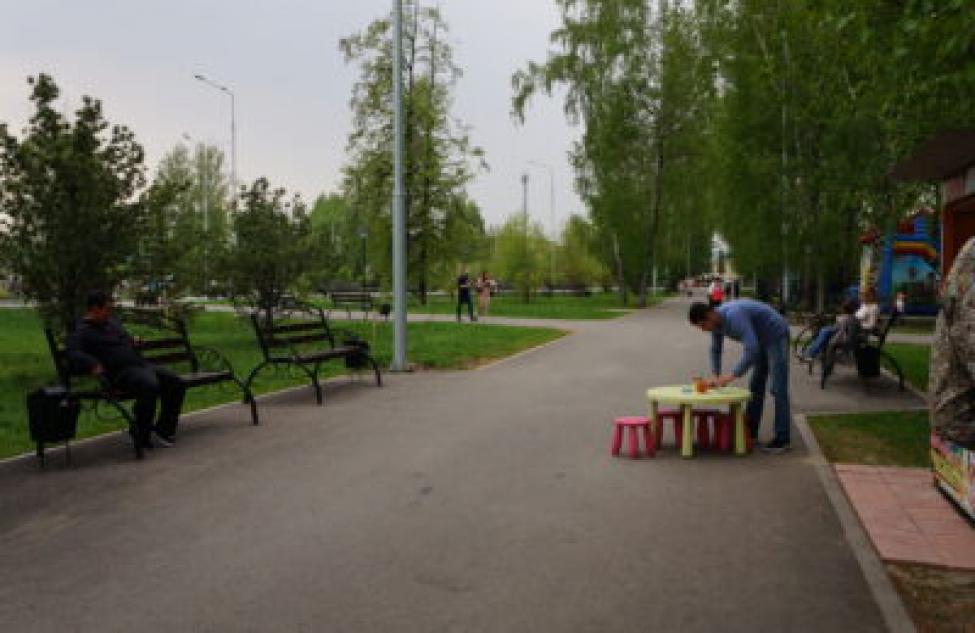 Три декоративные опоры Wi-Fi установили в городском парке Бердска