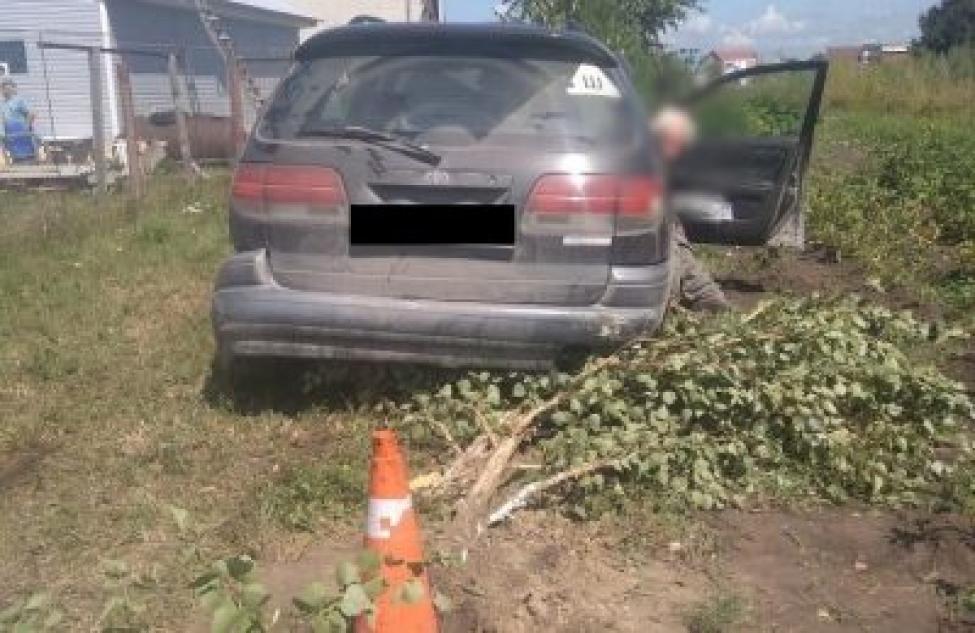 Машина под управлением пьяного водителя врезалась в дерево в Бердске