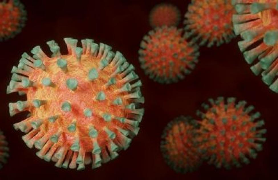 42 человека умерло в Бердске из-за заражения коронавирусом в этом году