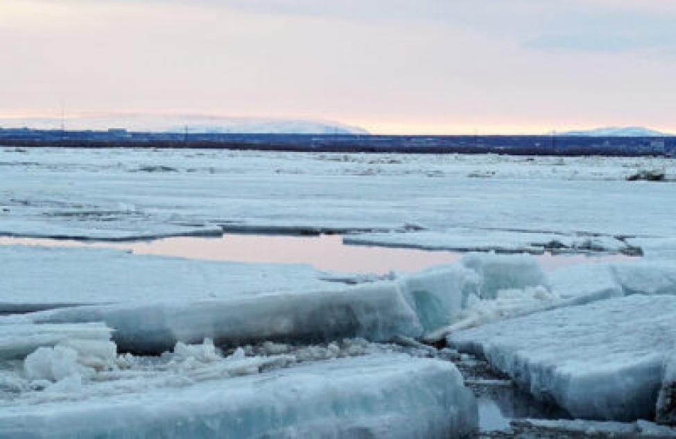 Появились проталины: бердчан попросили не выходить на лед