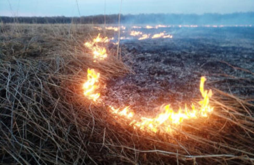 Получил ожоги бердчанин при попытке потушить горящую траву