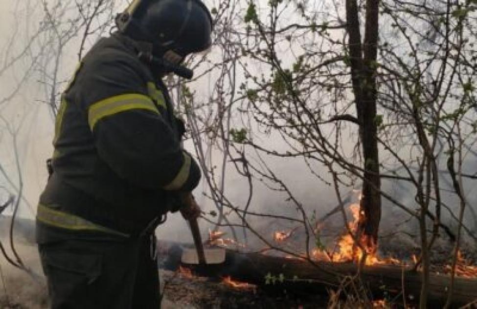 Особый противопожарный режим продлен в Новосибирской области до 25 мая