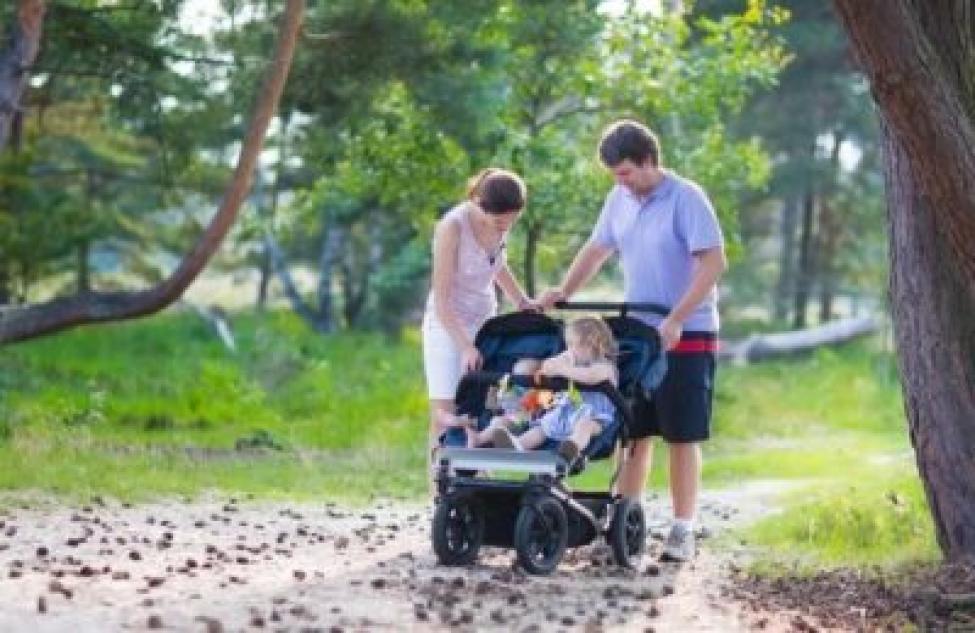 Допфинансирование из федерального бюджета направят Новосибирской области на поддержку семей с детьми