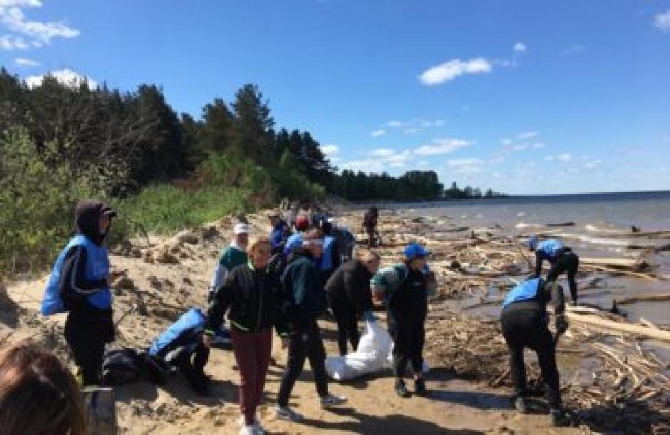Волонтеры Бердска очистили берег от бревен и «топляка»