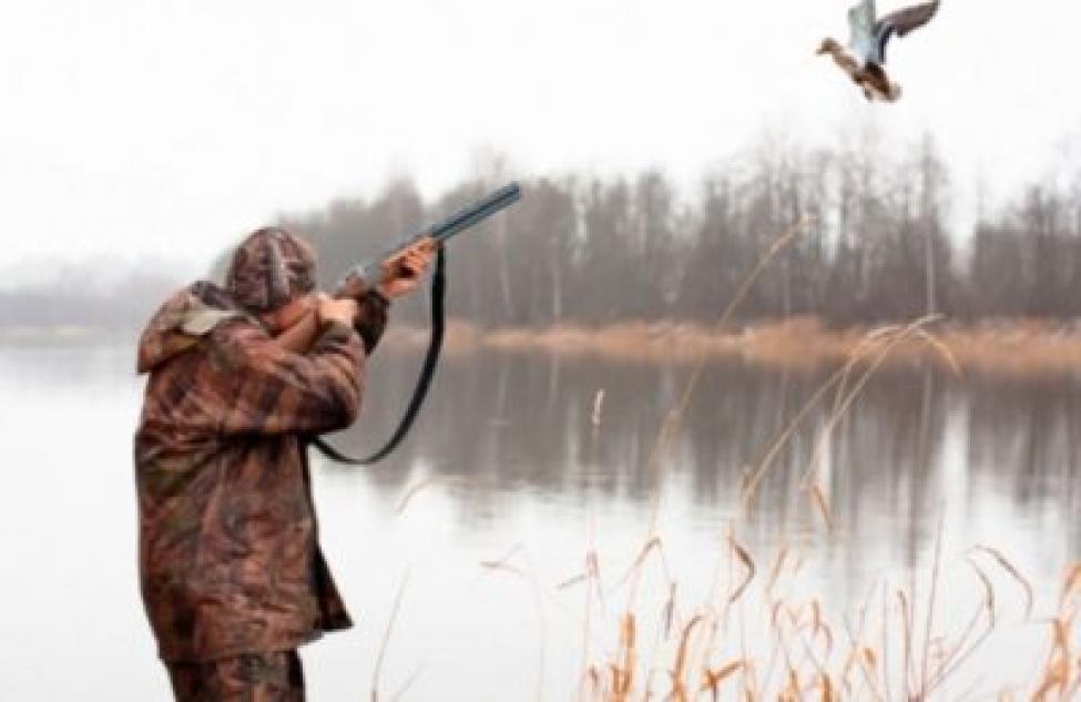Начинается сезон охоты с 27 августа в Новосибирской области