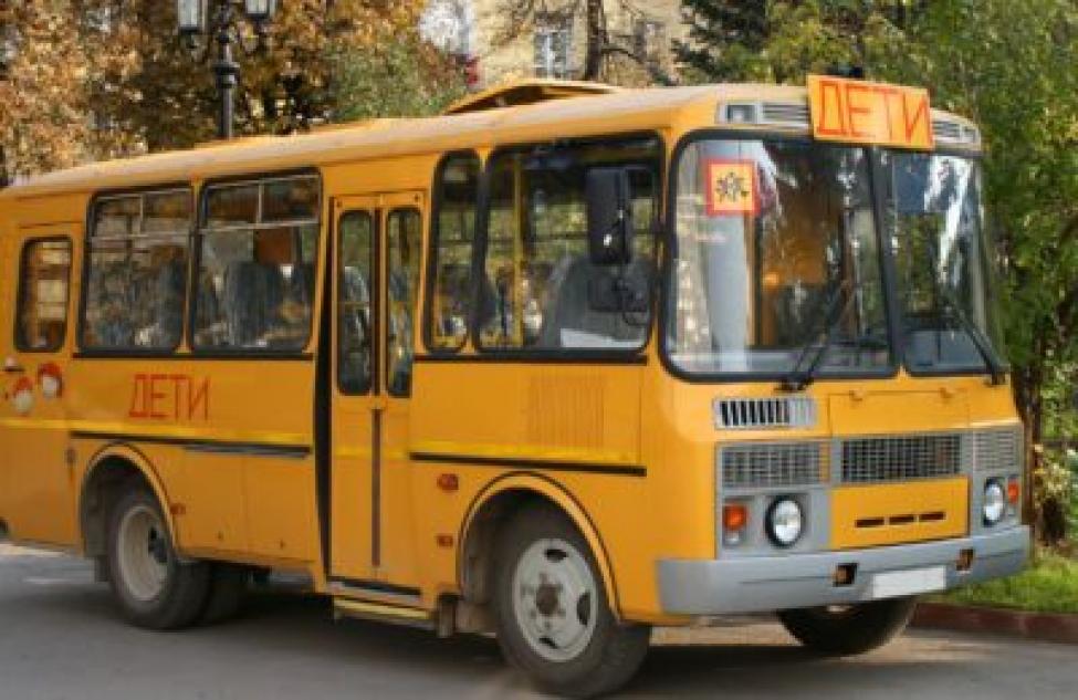 Получит 55 новых школьных автобусов Новосибирская область