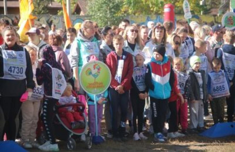 Более 2000 бердчан приняли участие во Всероссийском дне бега «Кросс нации»