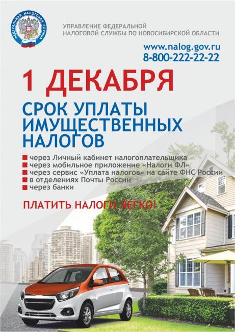 Срок оплаты имущественных налогов в 2025 году. Срок оплаты имущественных налогов в 2025 году
