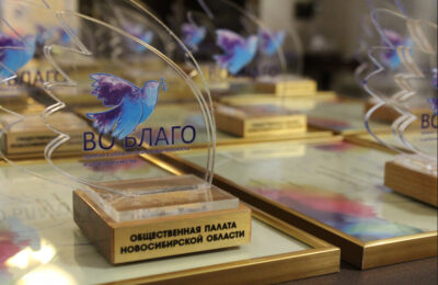 Сайт «Бердских новостей» назван одним из победителей в номинации «Социальное СМИ» по версии конкурса Общественной палаты Новосибирской области «Во Благо»