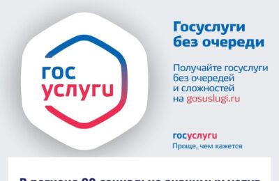 В Новосибирской области 90 социально значимых услуг переведено в электронный формат