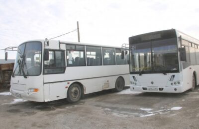 Автобусы в День России будут ходить в Бердске по графику выходного дня