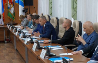 Депутаты Бердска скорректировали бюджет и распределили дополнительные средства