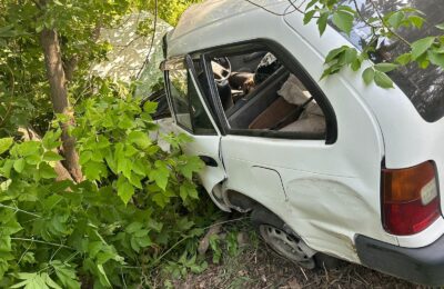 В Бердске погиб водитель автомобиля, который врезался в дерево