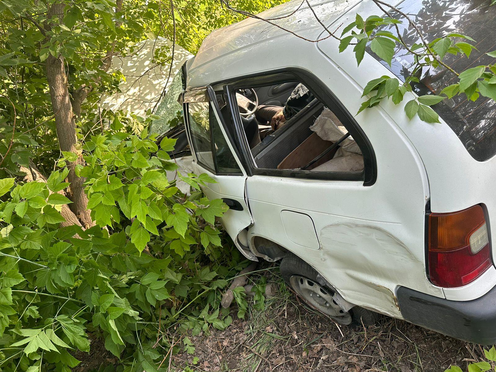 В Бердске погиб водитель автомобиля, который врезался в дерево - Бердские  новости