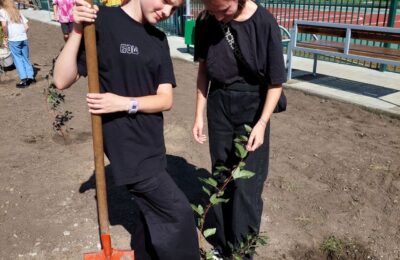 Активисты «Первых» в Бердске посадили деревья на аллее детства в честь Дня города