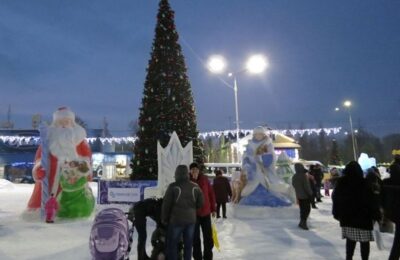 Где нарядят новогоднюю елку в Бердске — поставили конец в споре