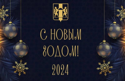 Руководители Новосибирской области поздравили жителей региона с Новым годом