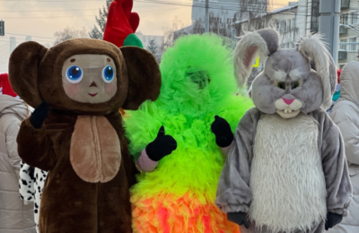 Бердчане приняли участие в карнавале «Шоу новогодних игрушек»