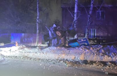 Водитель, который попытался скрыться от ДПС в Бердске, врезался в дерево