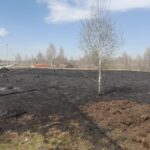 Бердчанина оштрафуют за несоблюдение особого противопожарного режима