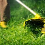 В Бердске УК косят траву на придомовых территориях несвоевременно