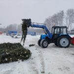 Жителям Новосибирска предложили превратить ненужные ёлки в удобрение