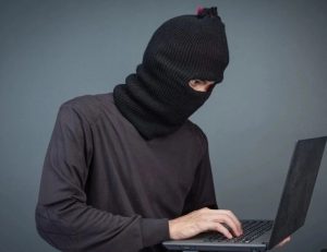 Телефонные мошенники атакуют бердчан, представляясь сотрудниками администрации города
