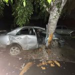 Автомобиль врезался в дерево в Бердске