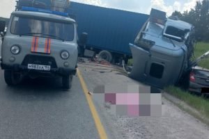 Постоянная читательница “Бердских новостей” стала очевидцем жуткого ДТП на отрезке федеральной трассы между Бердском и Искитимом
