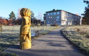 Бердский роддом со следующей недели закроют на дезинфекцию