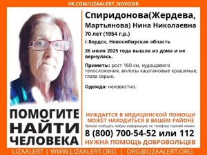 В Бердске ищут пропавшую женщину