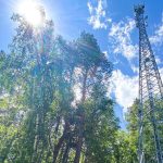 МегаФон впервые запустил 4G в сёлах Мураши и Победа