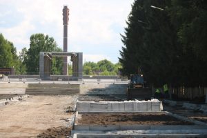 О судьбе деревьев в Парке Победы рассказали бердчанам