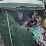 Пластиковые контейнеры для мусора сгорели в Бердске