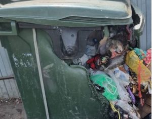 Пластиковые контейнеры для мусора сгорели в Бердске
