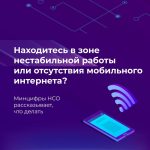 Бердчанам порекомендовали, как себя вести при попадании в зону нестабильной работы или отсутствия мобильного интернета