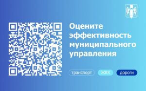 Оценить эффективность муниципального управления попросили жителей области