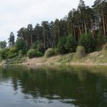 В лесах нашего региона потерялись семь человек