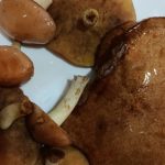 С пустыми ведрами возвращаются бердчане из грибных мест