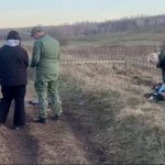 После встречи со стаей бездомных собак погиб 10-летний ребенок