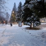 Не хватает трактористов для уборки городских улиц в Бердске