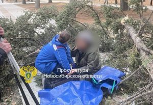 Дерево упало на пожилую пару в Новосибирске