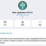 Робот Николай теперь записывает новосибирцев к врачу в национальном мессенджере МАХ