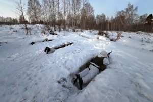 Повышенная выплата при заключении контракта в НСО будет действовать в 2026 году