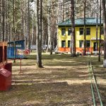 Путевки в детские оздоровительные лагеря региона стали электронными