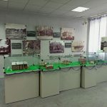 «Первые 240 лет бердской истории» – в Бердске состоятся Гороховские чтения