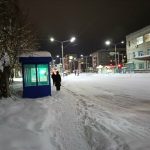 “Похожа на елочную игрушку”: бердчанин рассказал о необычной остановке